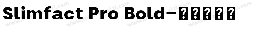 Slimfact Pro Bold字体转换